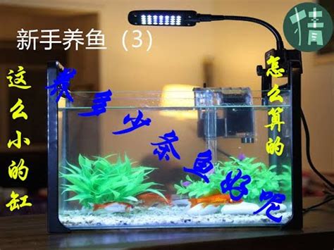 日本取名 風水魚缸數量